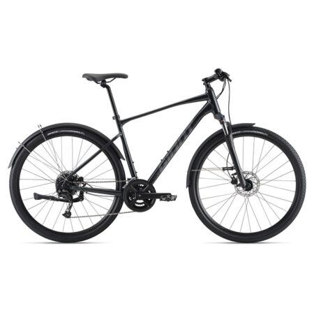 Giant Roam EX