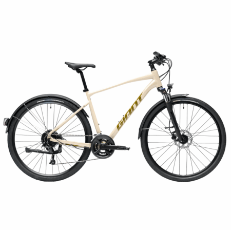 Giant Roam EX